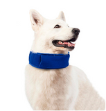 LifeHacking InstaCool Dog Collar