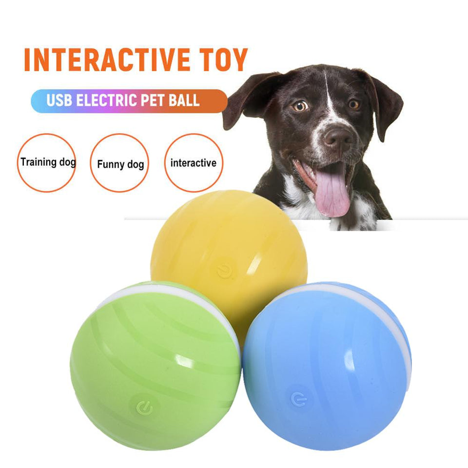 LifeHacker Pet SmartBall