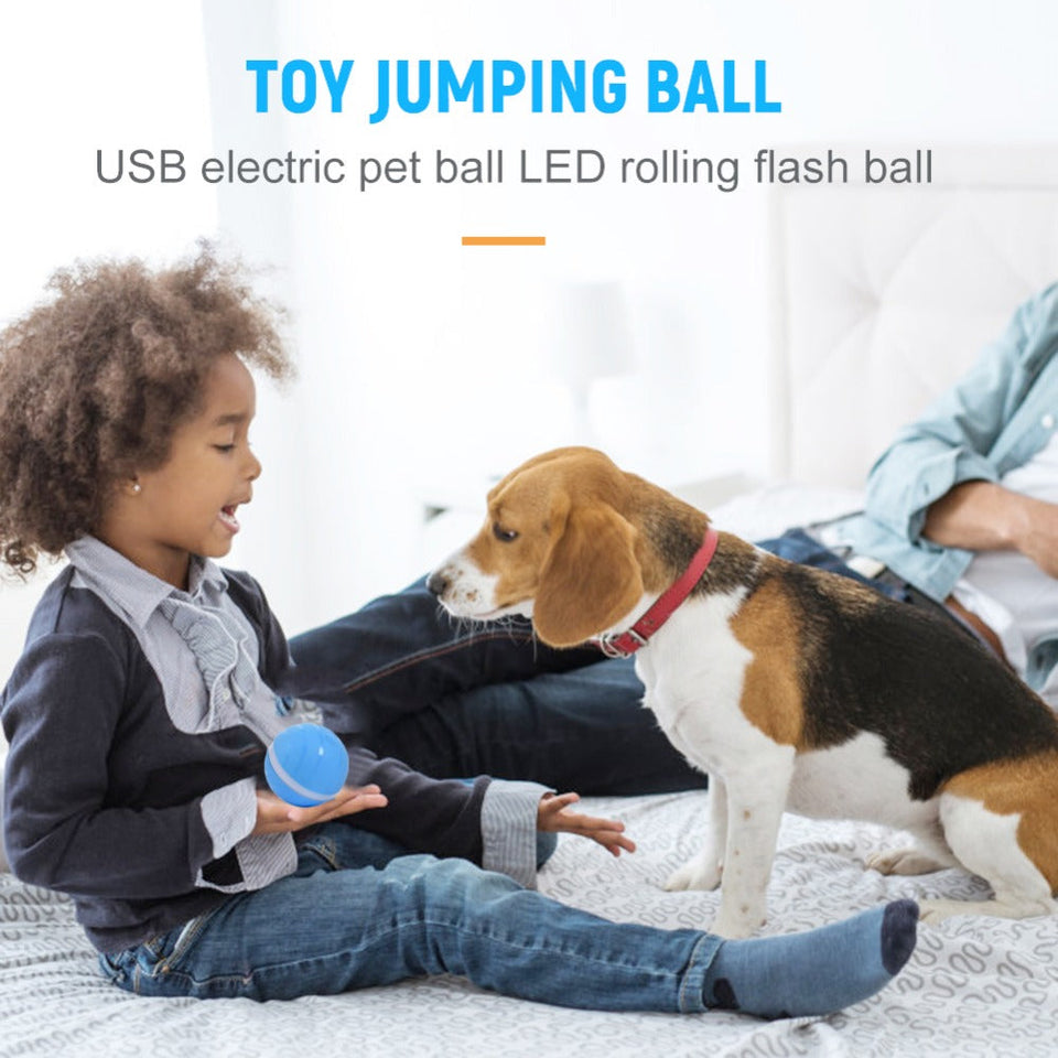 LifeHacker Pet SmartBall