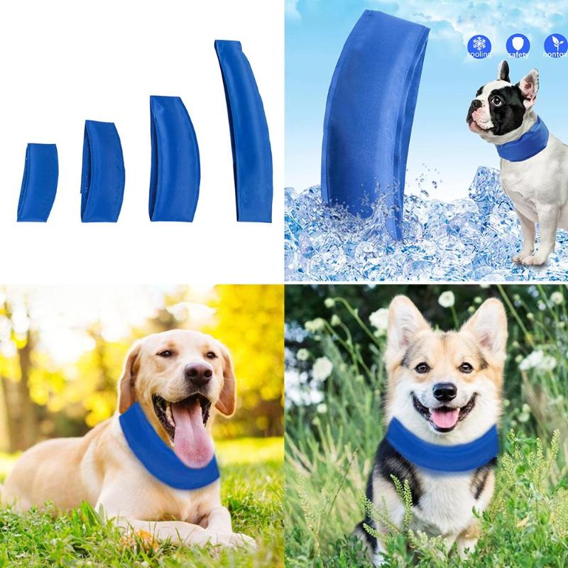 LifeHacking InstaCool Dog Collar